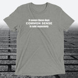 Common Sense T-Shirt — Funny Novelty Graphic Tee | Triblend Tee - JonesTees