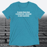 Common Sense T-Shirt — Funny Novelty Graphic Tee | Triblend Tee - JonesTees