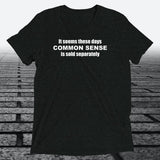 Common Sense T-Shirt — Funny Novelty Graphic Tee | Triblend Tee - JonesTees
